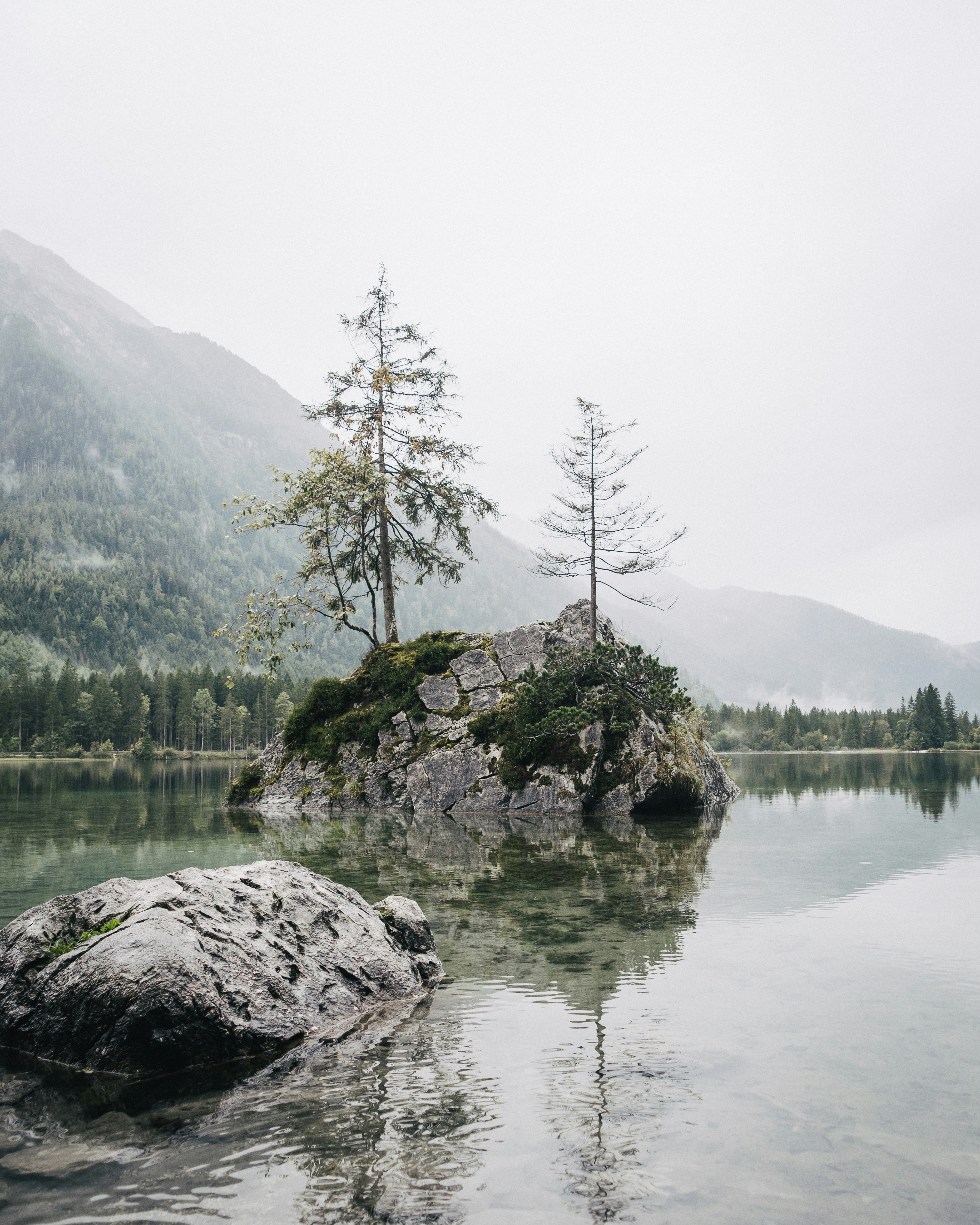 Photo by melimascella_