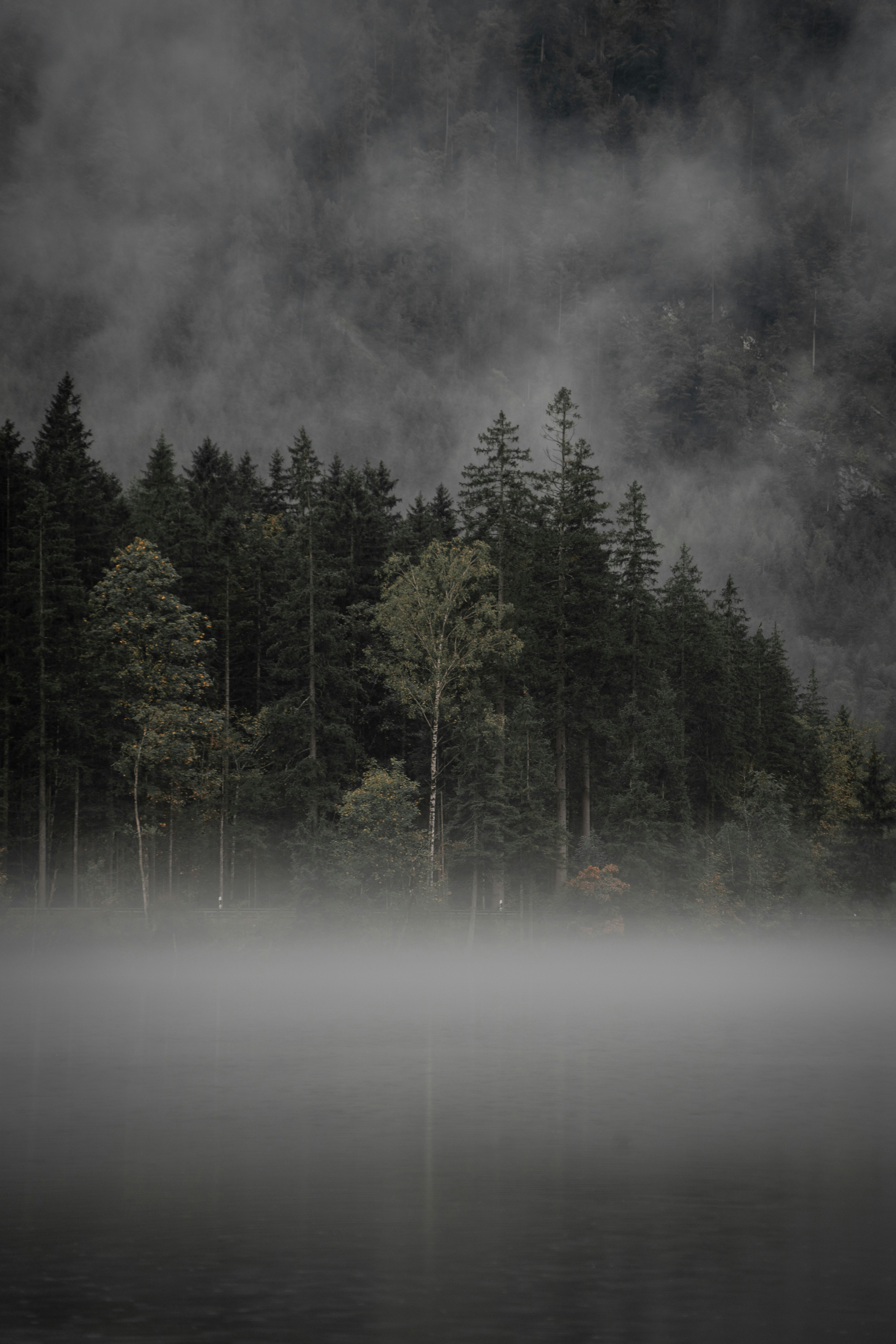 Photo by melimascella_