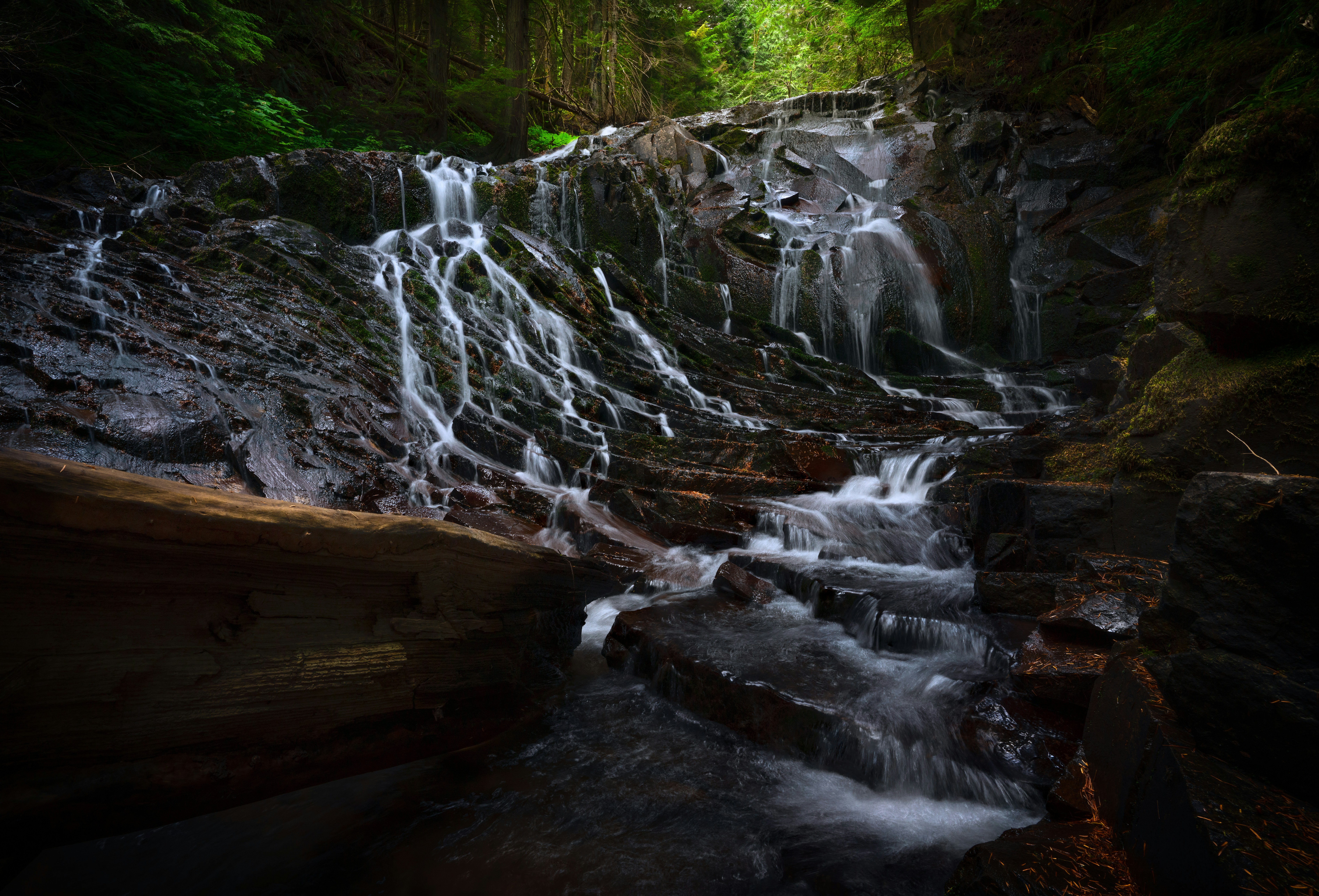 Photo by intricateexplorer