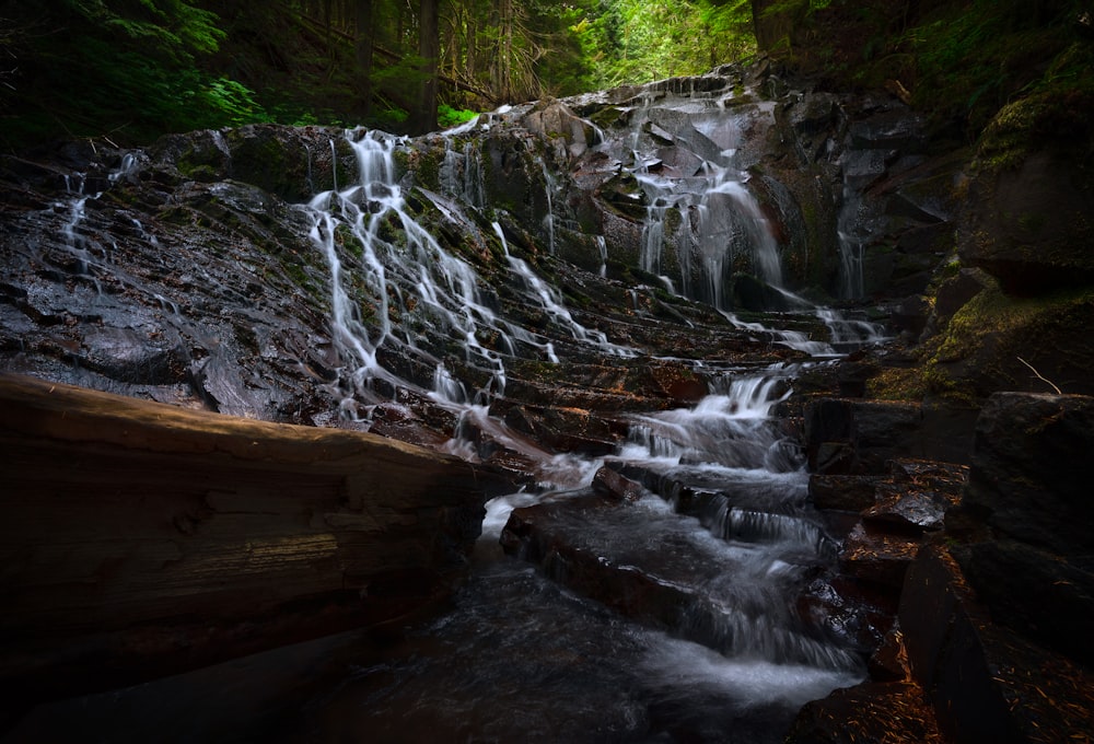 a waterfall in a forest with lots of water