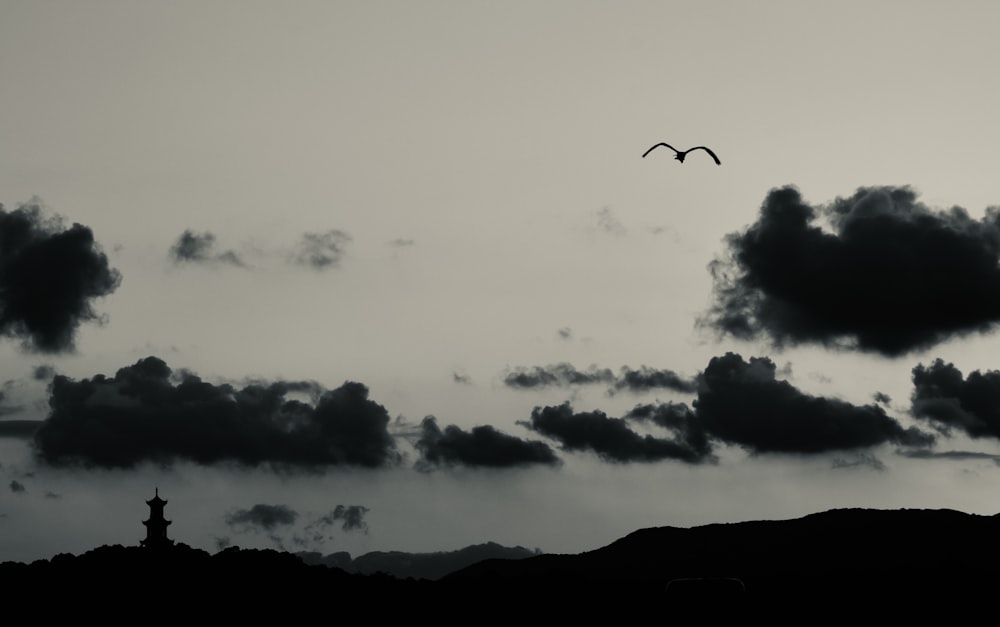 a black and white photo of a bird flying in the sky