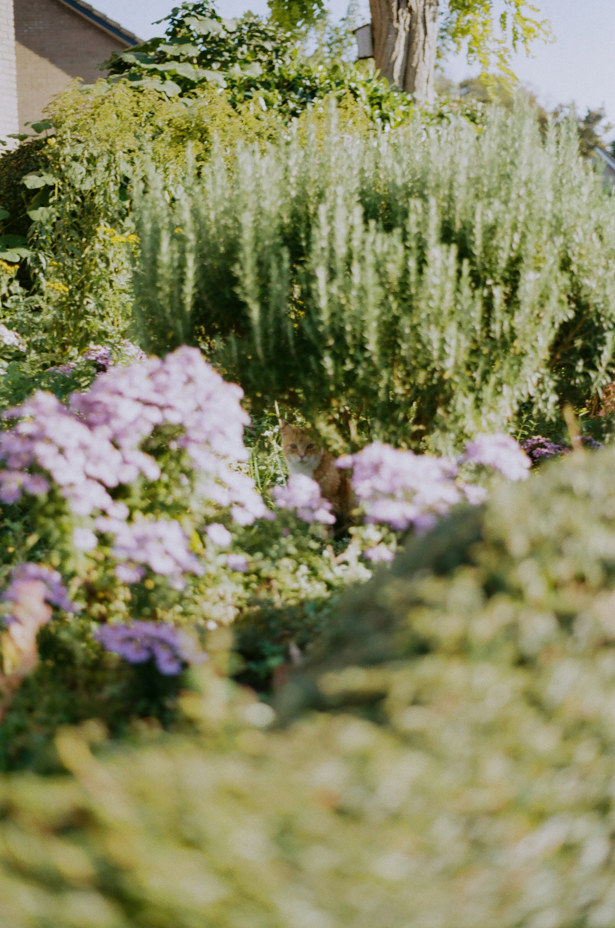 Photo by photographykye