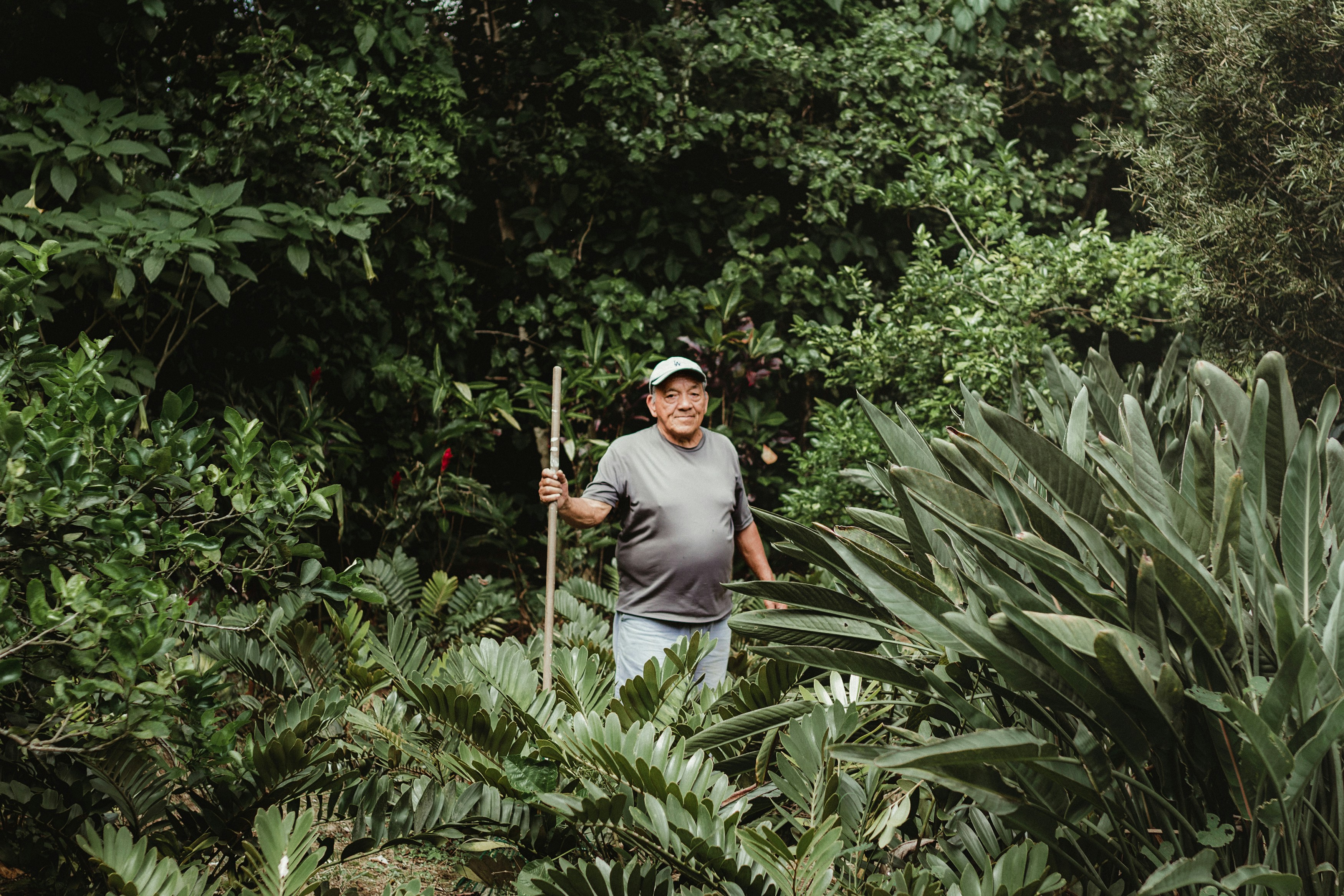 a man standing in a forest holding a stick