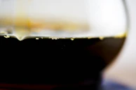 Close-up of bubbling, living fermentation in a glass vessel showcasing natural textures.