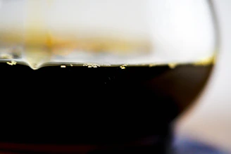 Close-up of bubbling, living fermentation in a glass vessel showcasing natural textures.