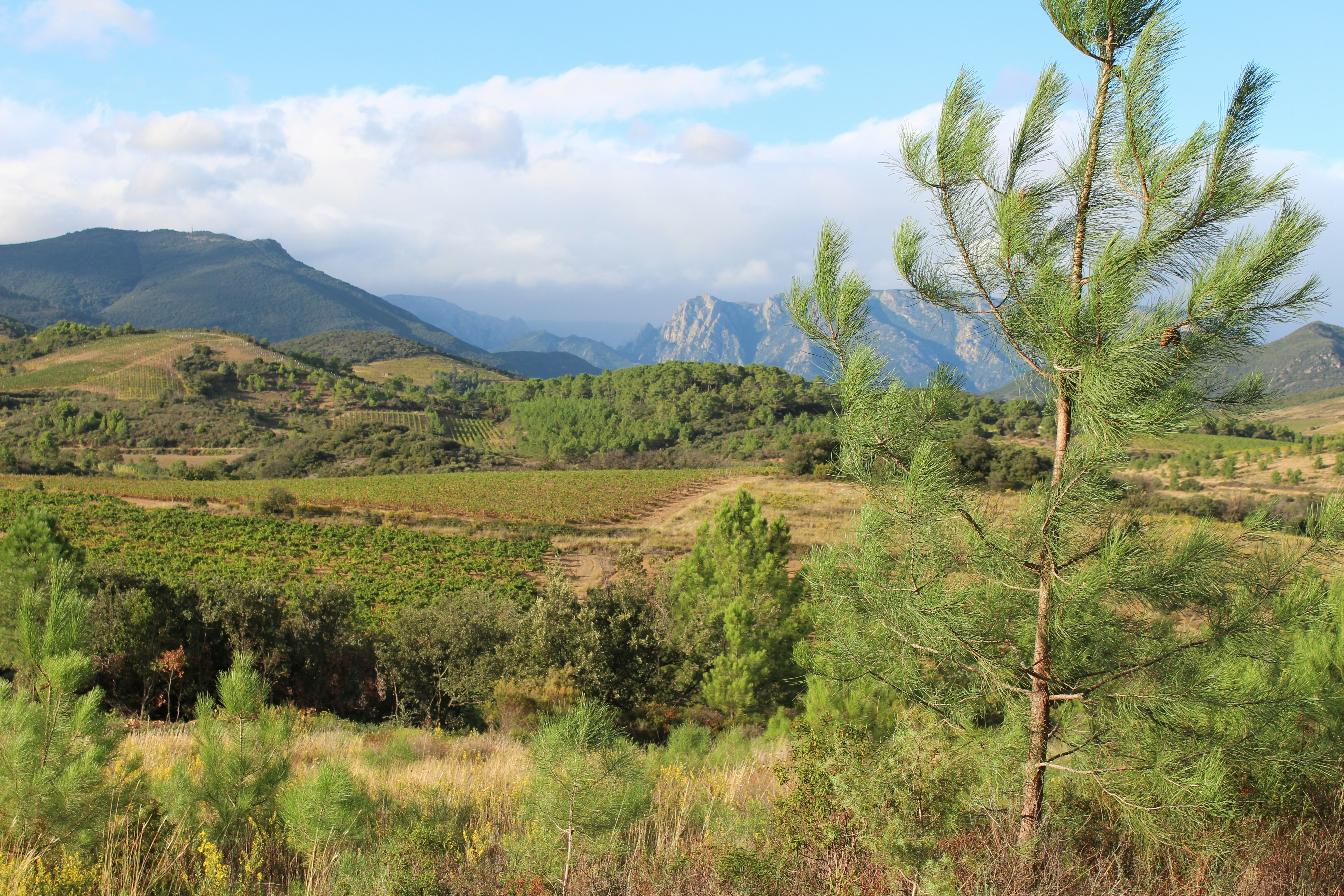 Image by John McFetridge via Unsplash