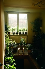Soft natural light illuminating a stylish interior decorated with forest green plants and violet accents.