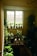 A serene wellness space with natural light and plants for relaxation.