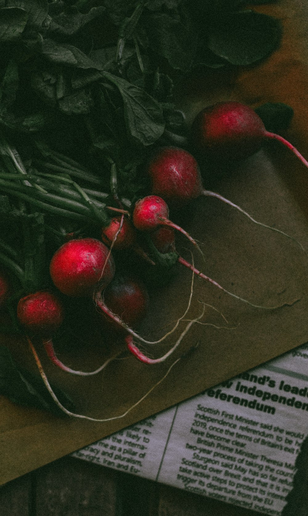 a bunch of radishes sitting on top of a piece of paper