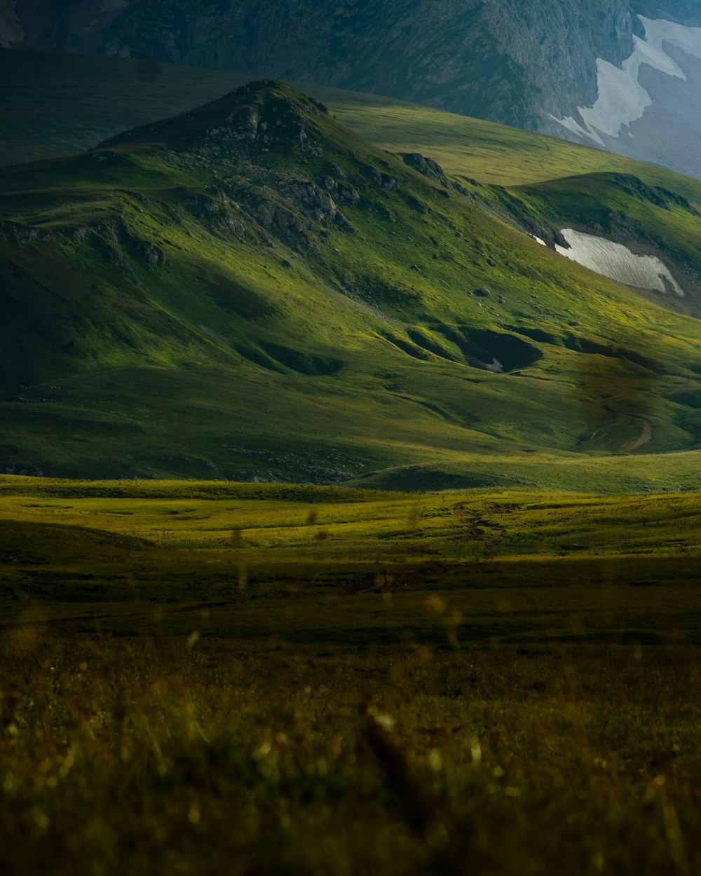 a grassy field with a mountain in the background
