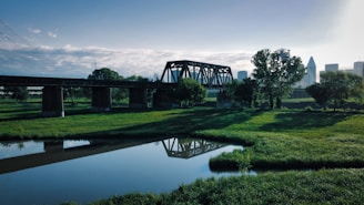a large bridge over a small river in a park