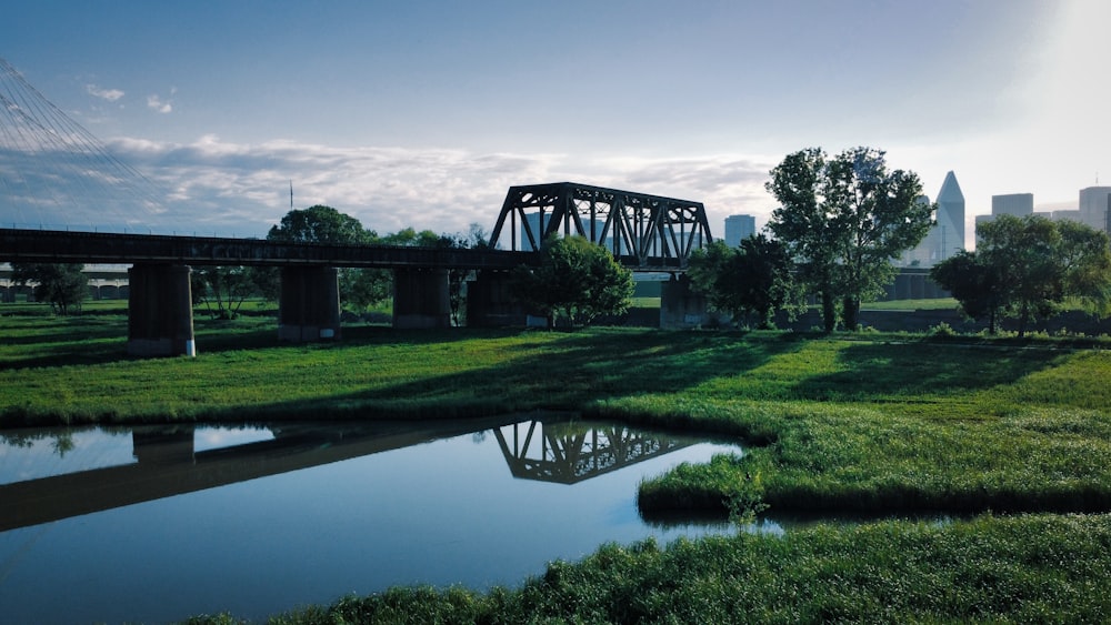 a large bridge over a small river in a park