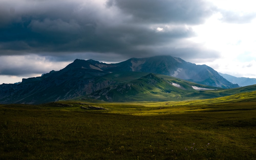 a grassy field with a mountain in the background