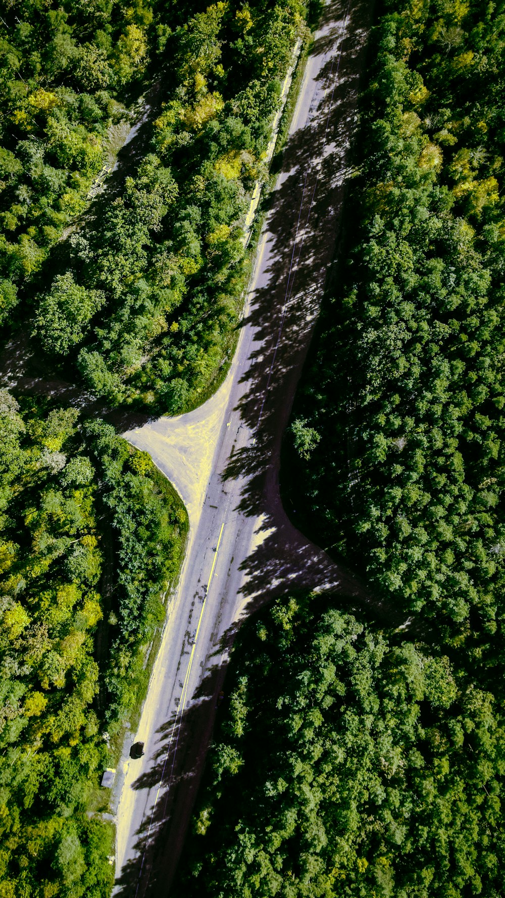 an aerial view of a road surrounded by trees