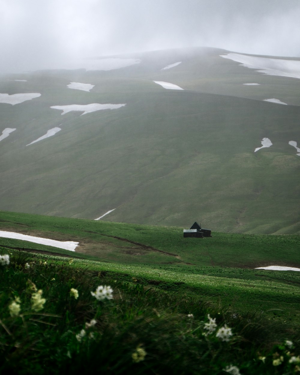 a house in the middle of a field with snow on the mountains