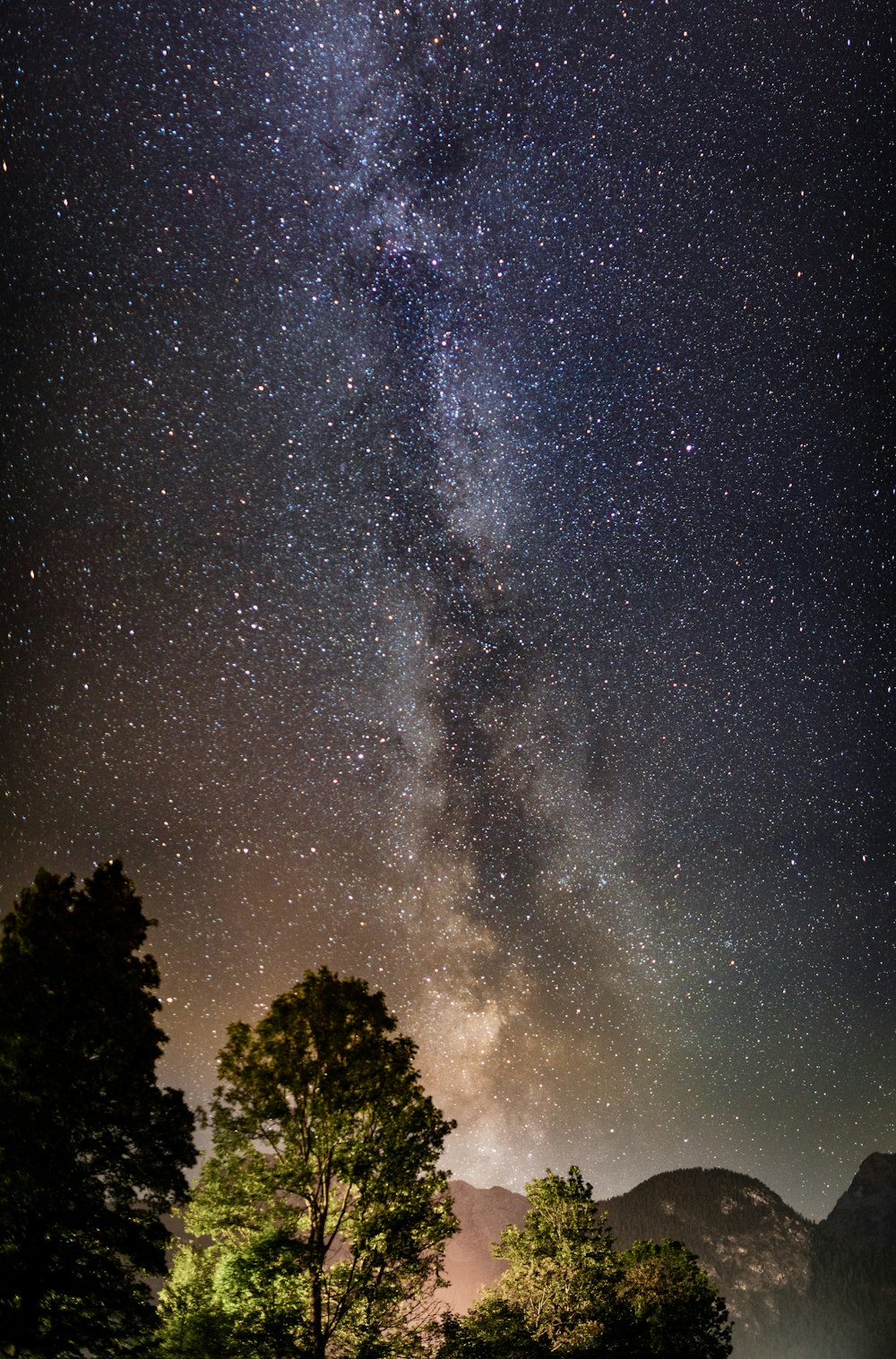 the night sky with a lot of stars above trees