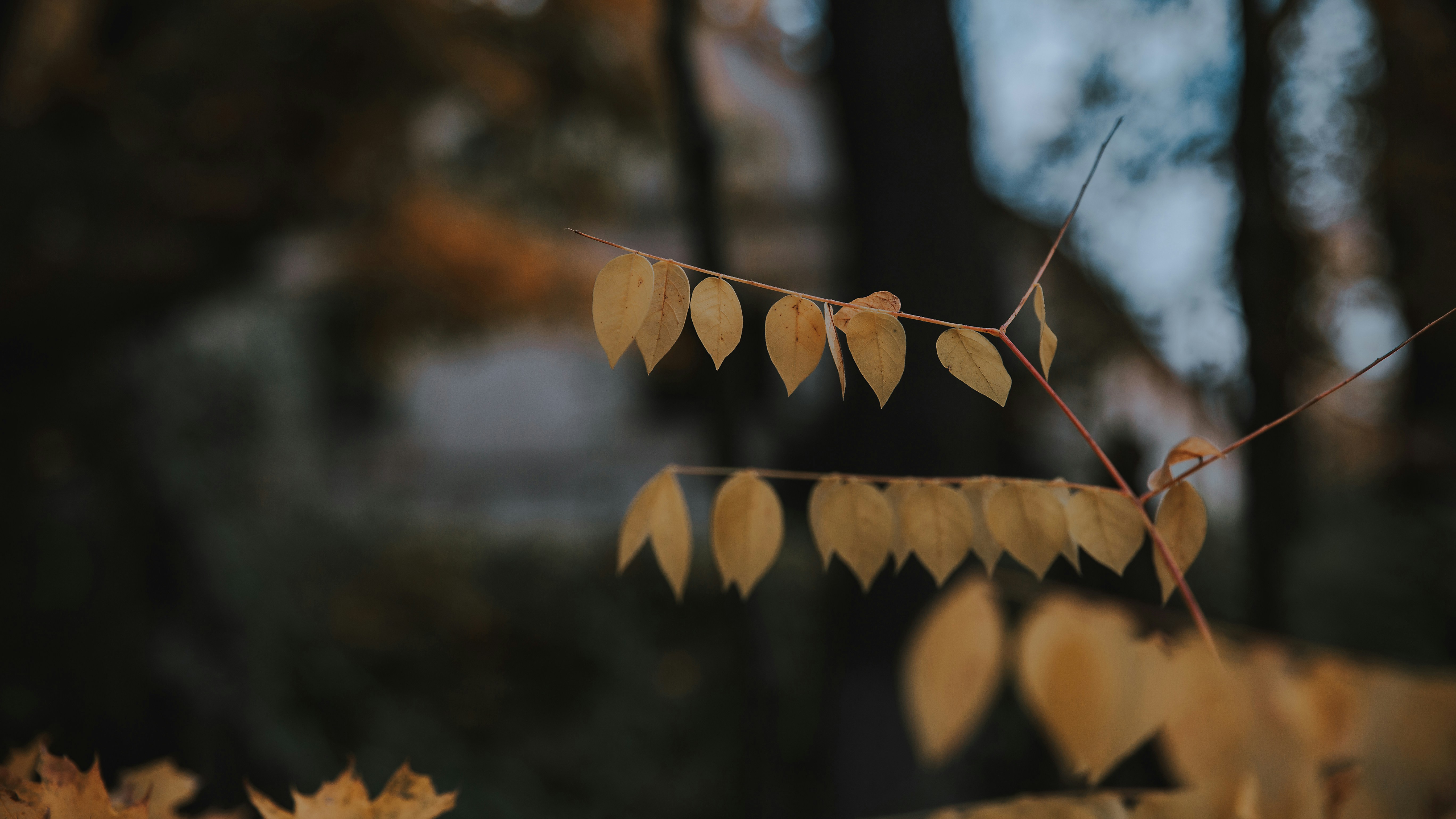 Photo by sylvester_s