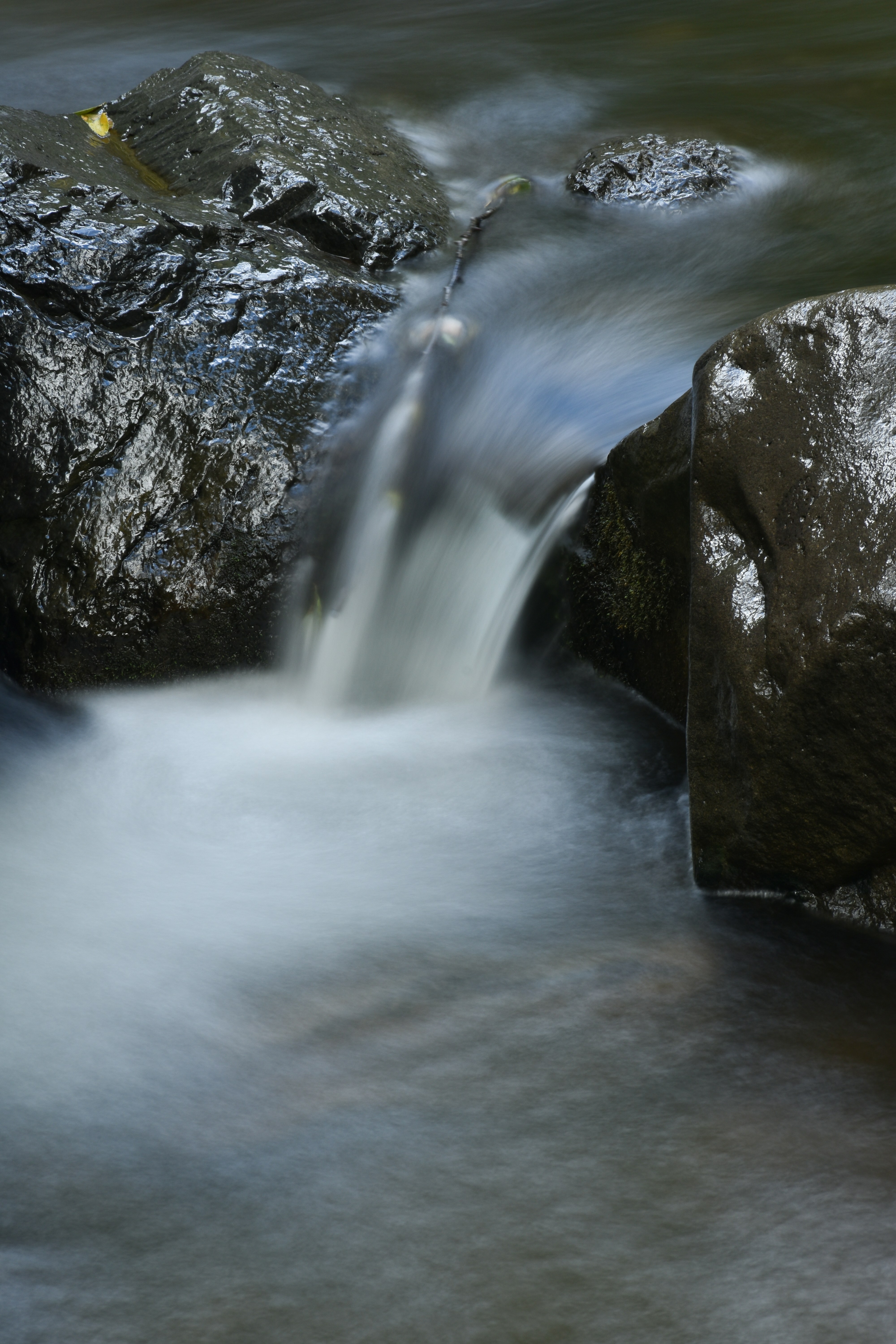 Photo by taylorwright22