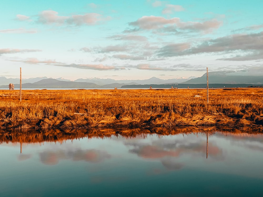 a large body of water sitting in a dry grass field