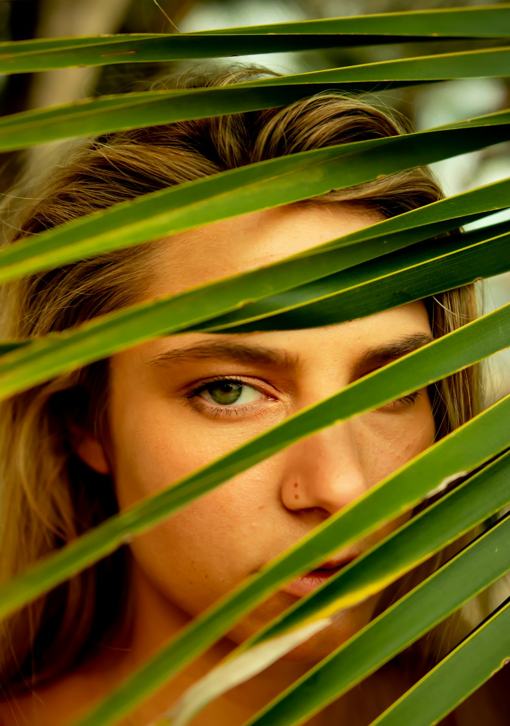 a close up of a person behind a palm leaf