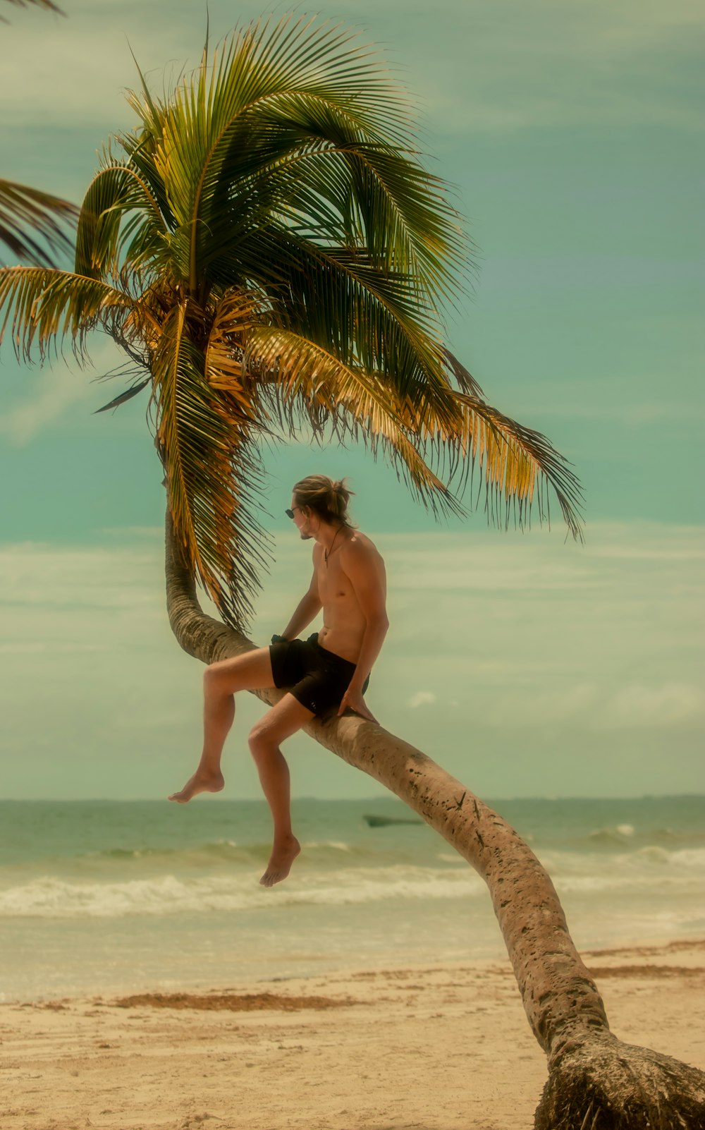 a man sitting on top of a palm tree on a beach