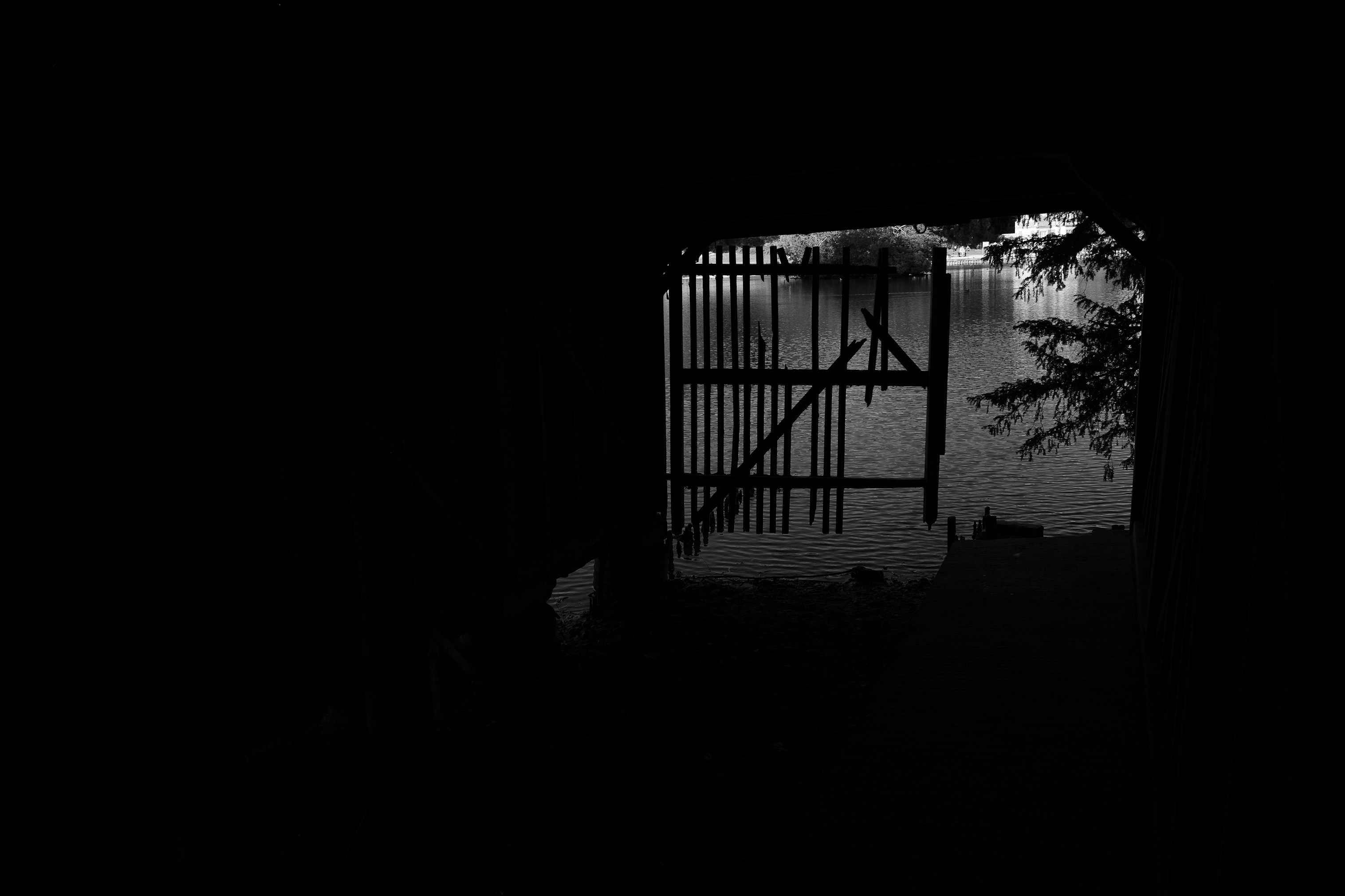 Photo by jannerboy62