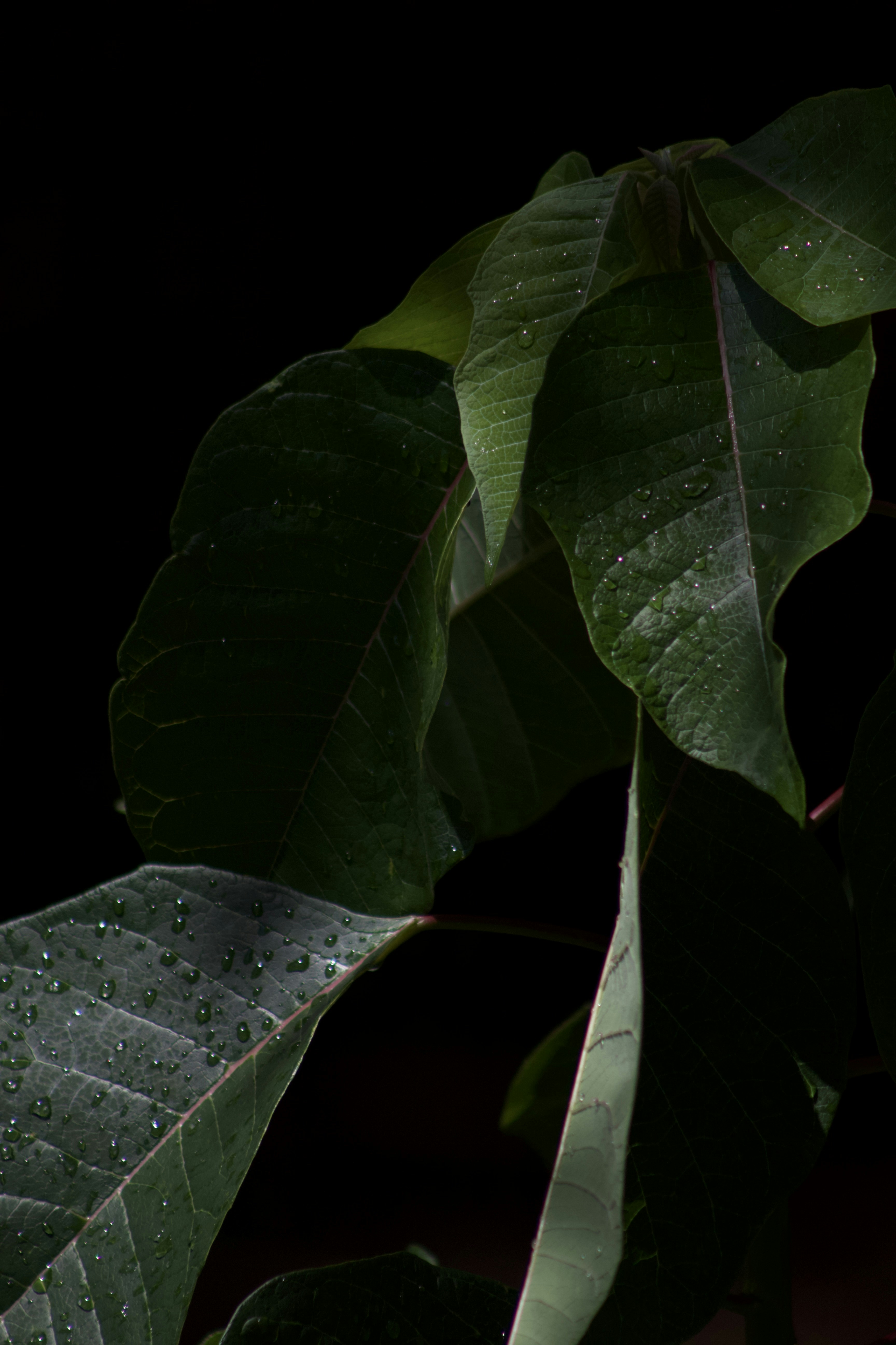 Photo by aliciaperezc