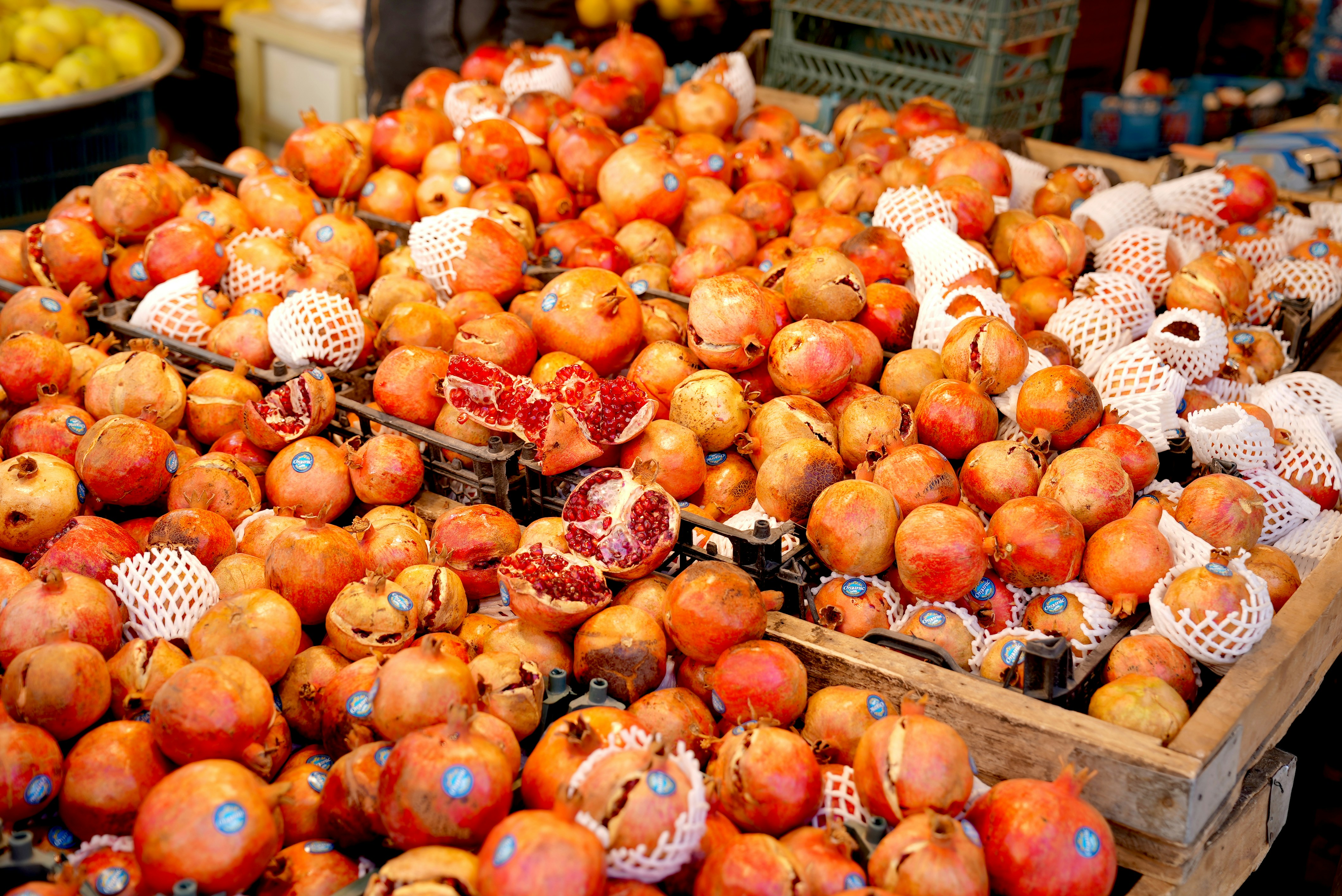 Photo by rafieeartist