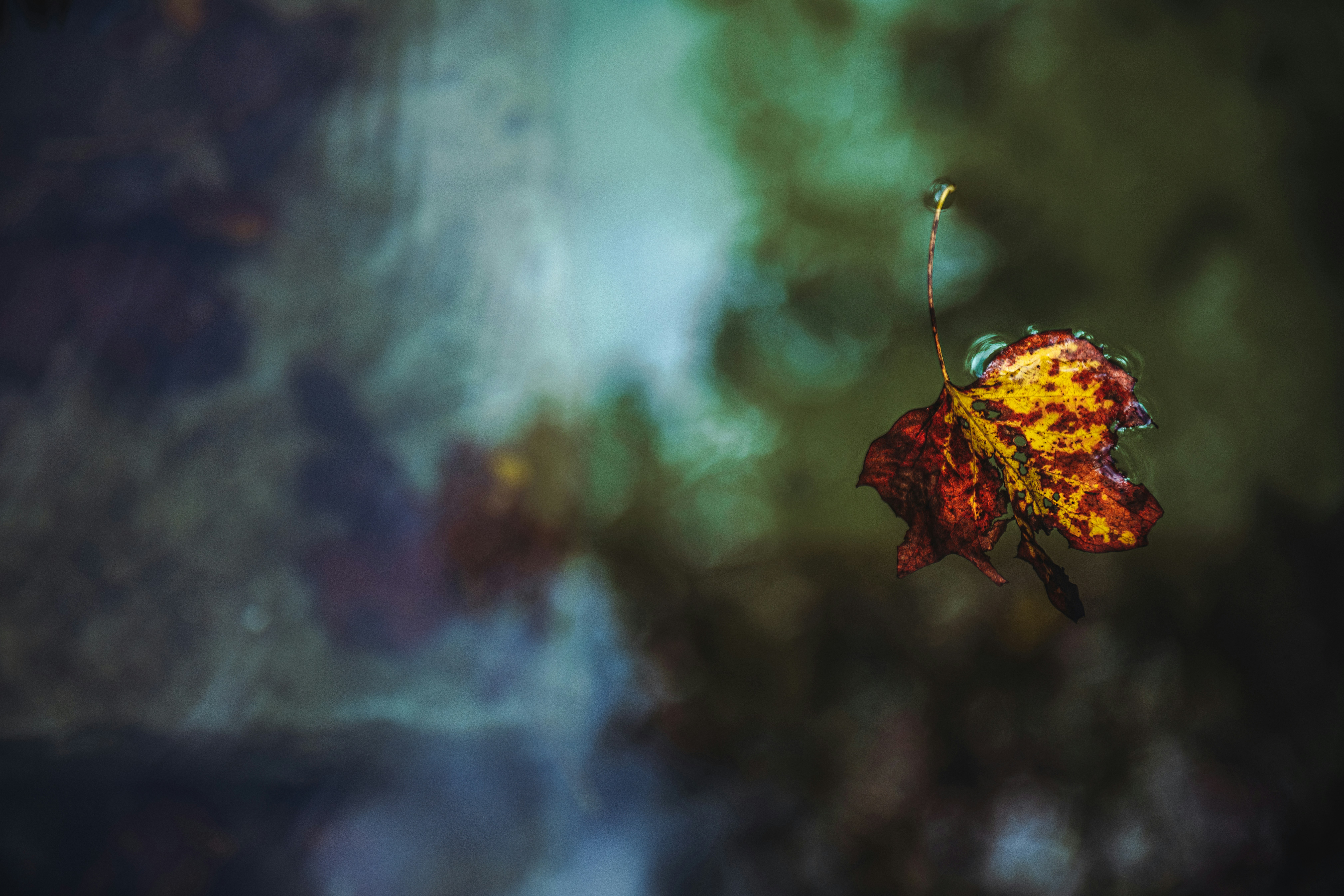 Photo by timmossholder