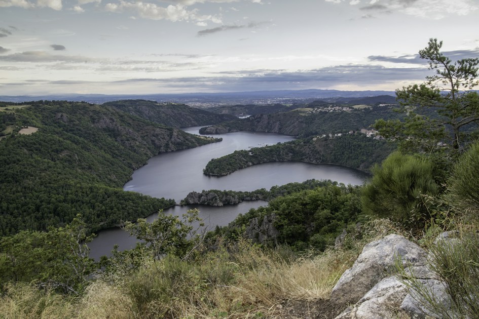Twisting Paths: The Role of Meanders in Shaping River Ecosystems ...