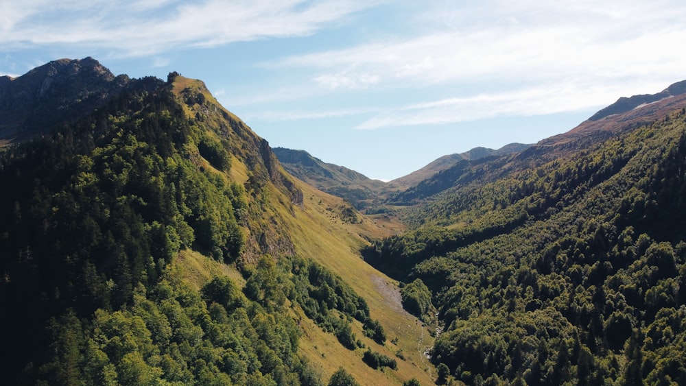 a view of a valley surrounded by mountains