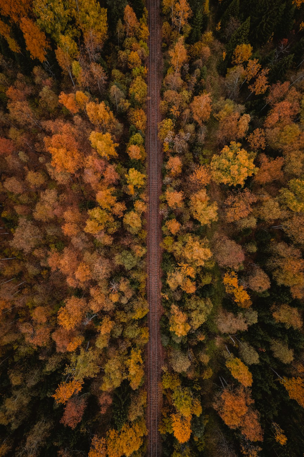 an aerial view of a road surrounded by trees