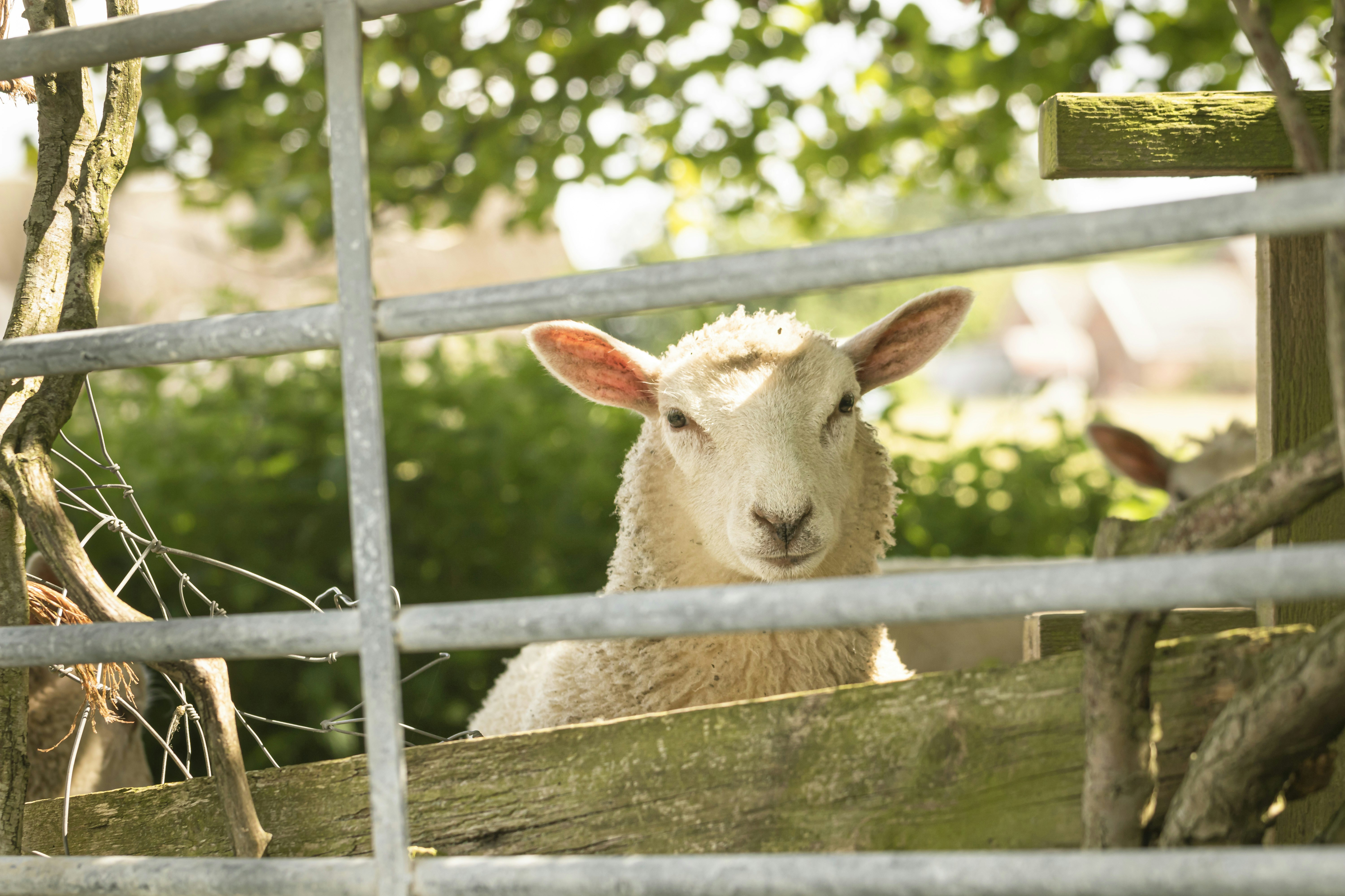 Photo by itscakefortea