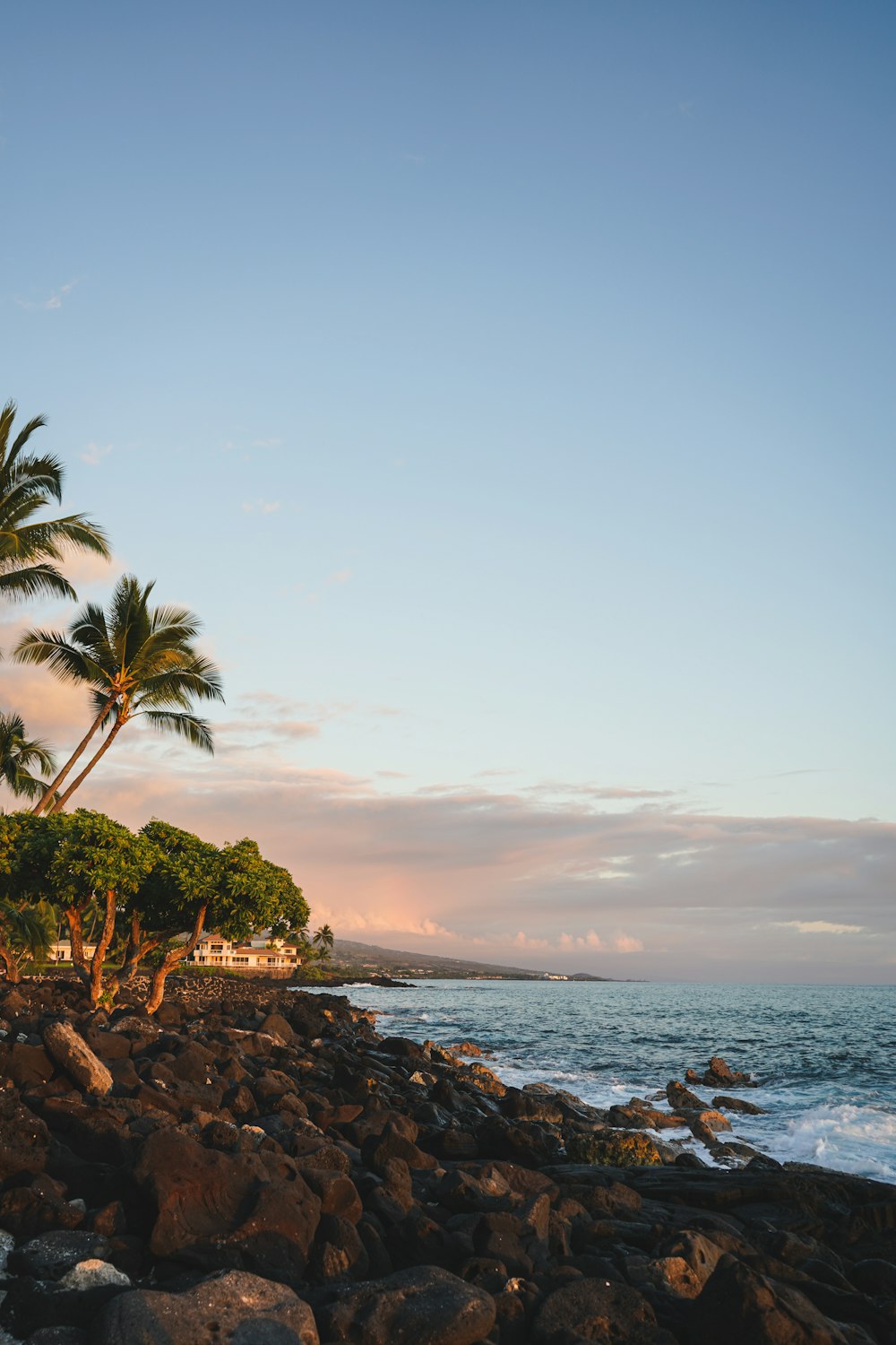 a rocky beach with palm trees and the ocean in the background