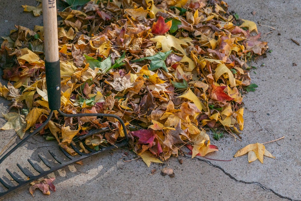 a pile of leaves and a rake on the ground