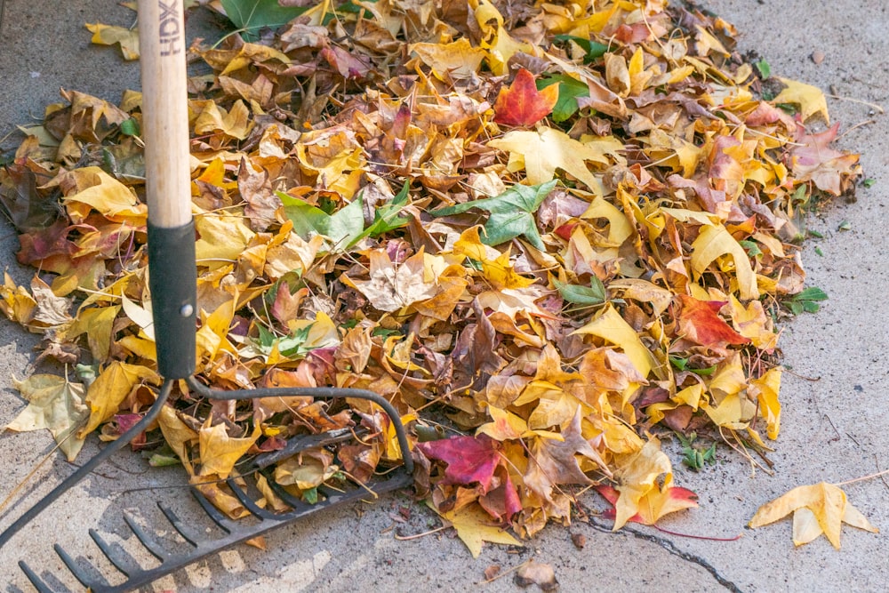 a pile of leaves and a rake on the ground