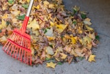 a red rake laying on top of a pile of leaves