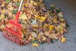 a red rake laying on top of a pile of leaves