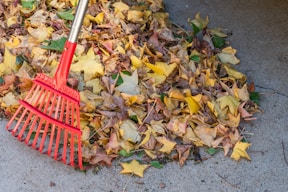 a red rake laying on top of a pile of leaves