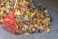 a red rake laying on top of a pile of leaves