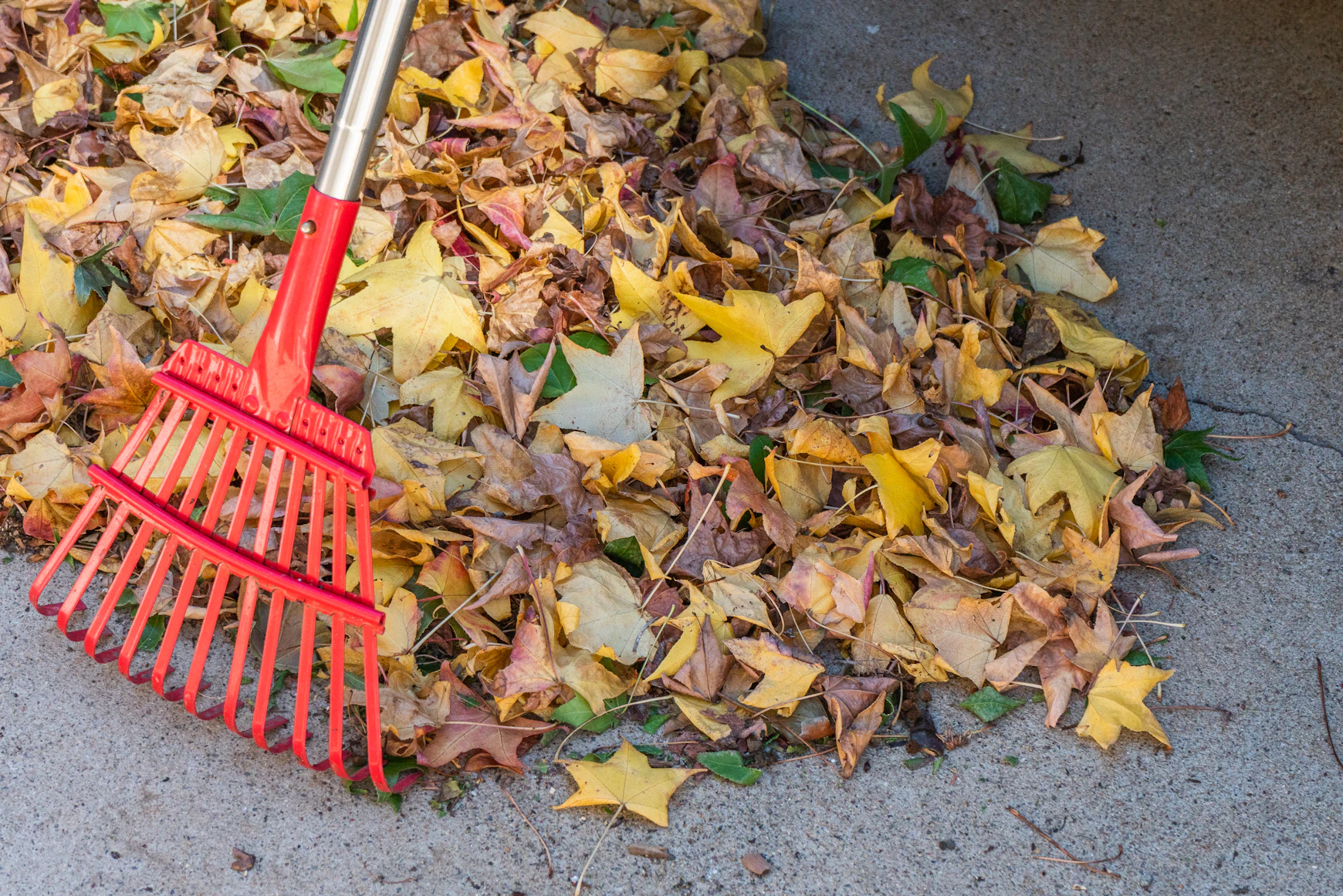 Raking Leaves & Picking Up Twigs