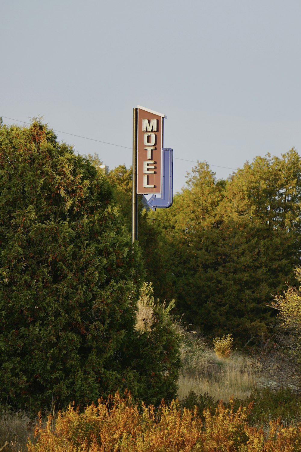 a motel sign in front of some trees