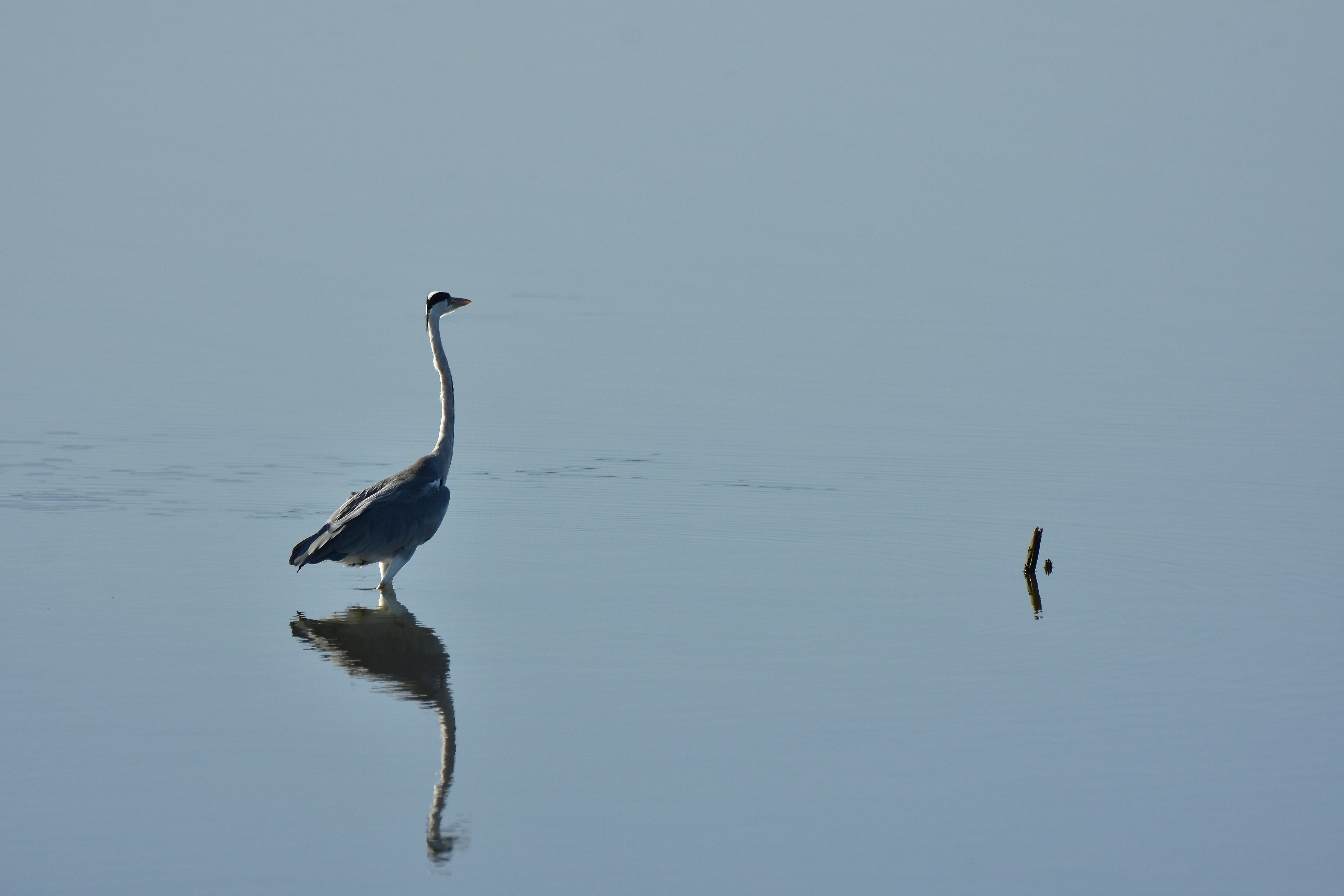 Photo by dulana_hansisi