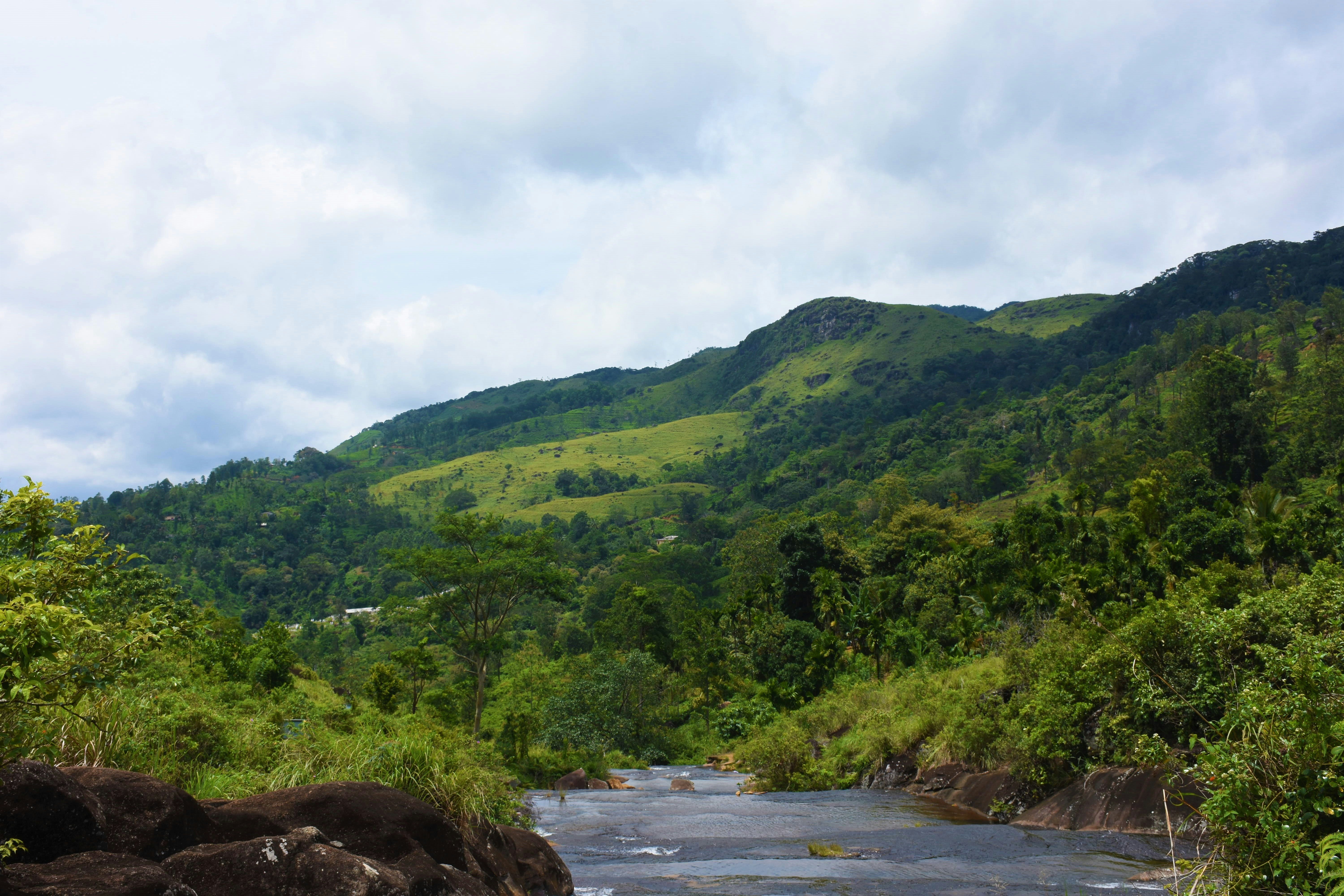 Photo by dulana_hansisi