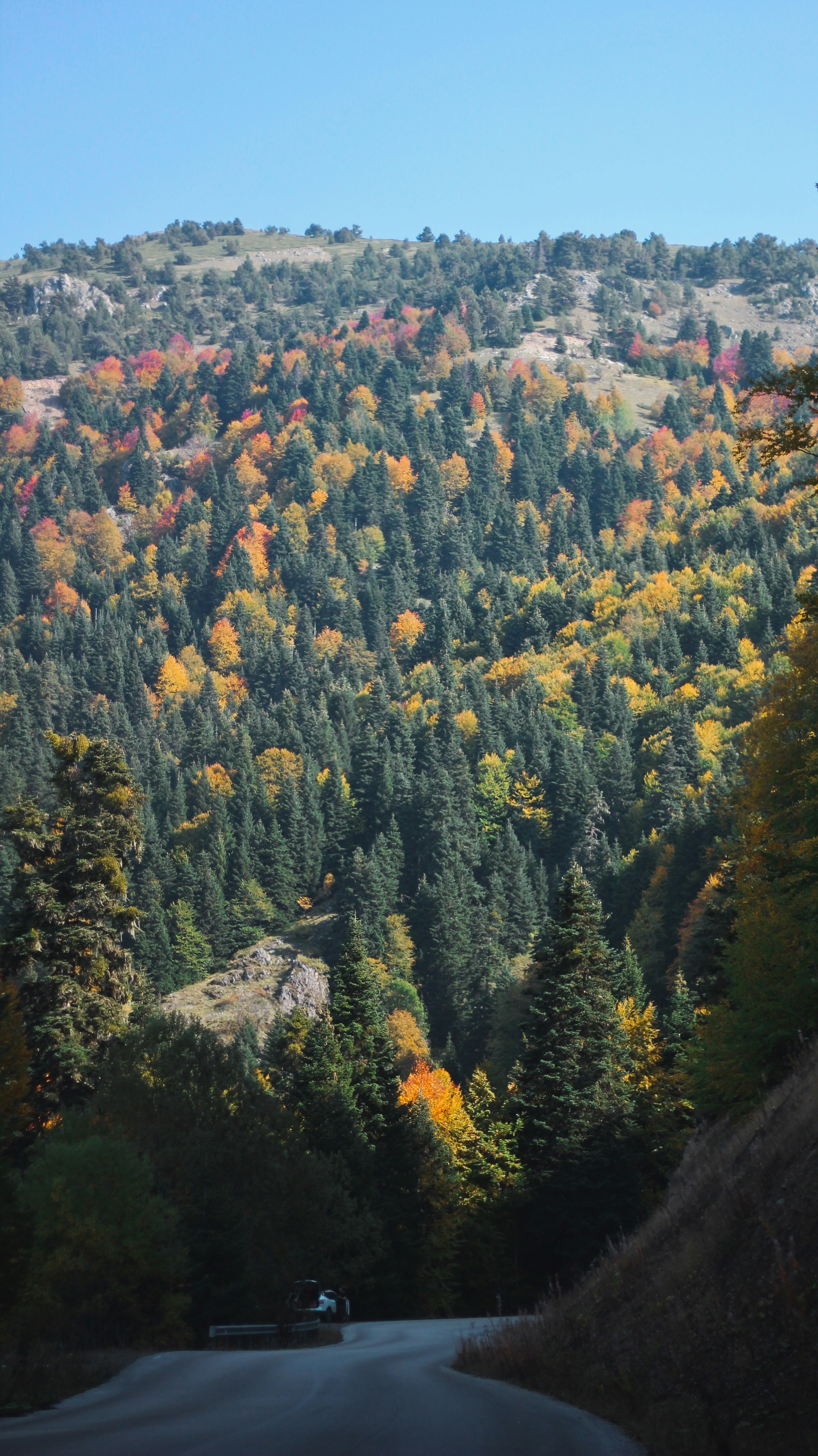 Photo by zeynepmervs