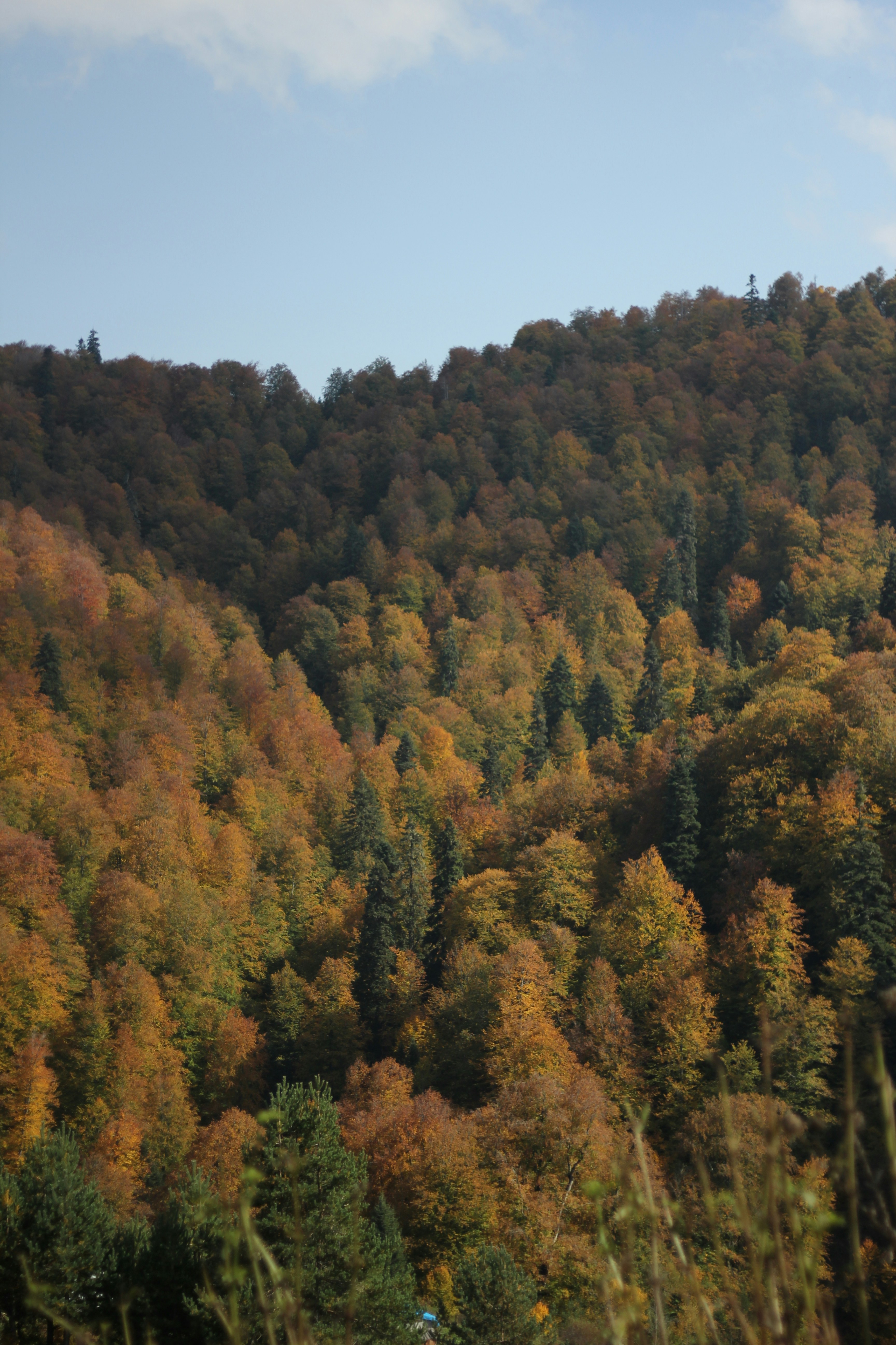 Photo by zeynepmervs