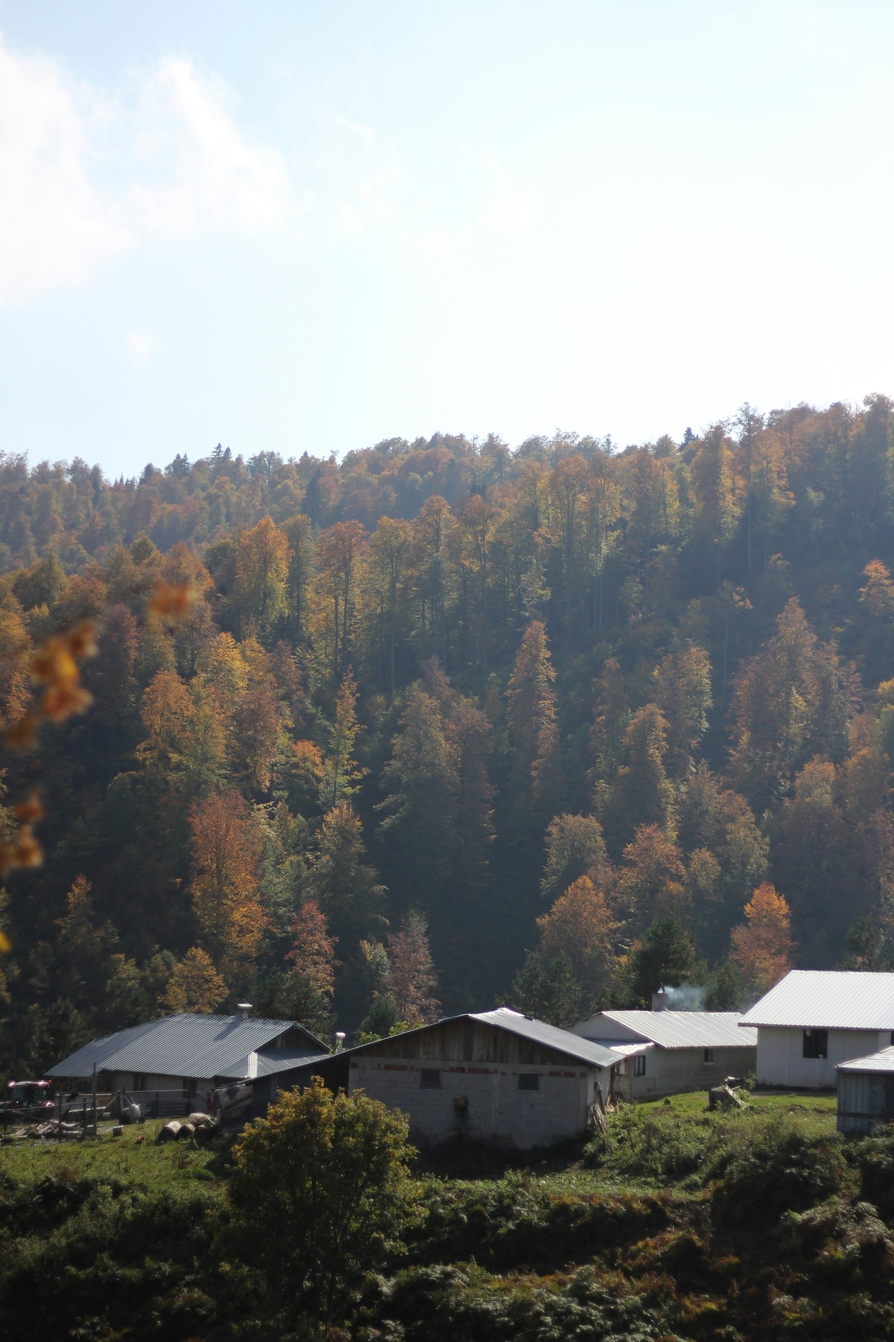 Photo by zeynepmervs