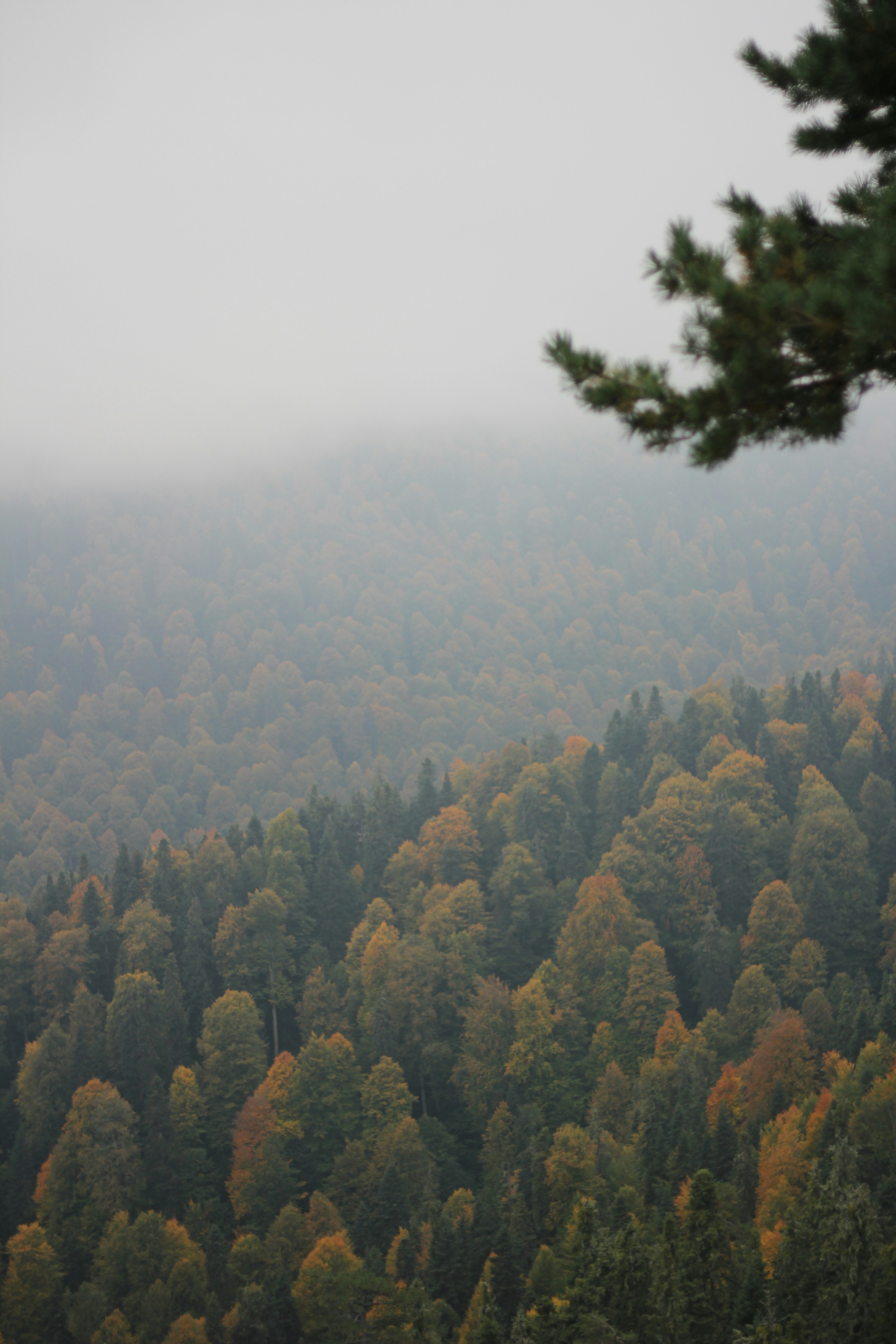 Photo by zeynepmervs