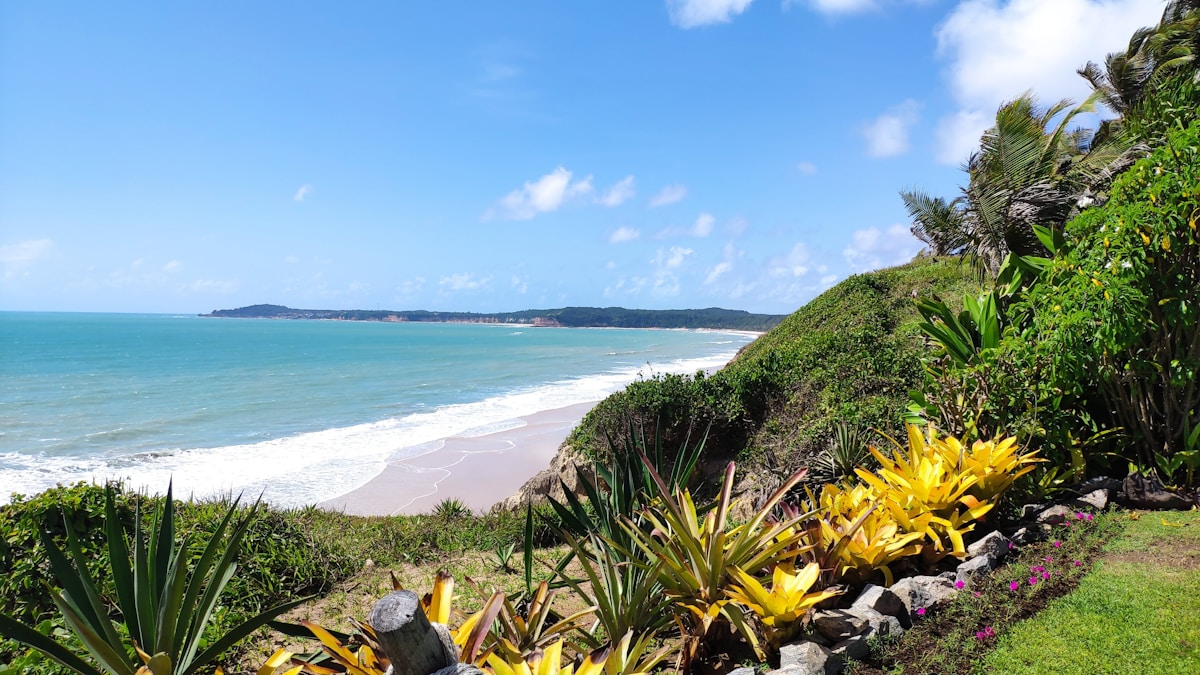Pipa, Brazil