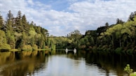 a body of water surrounded by lots of trees